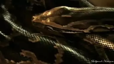 Dance with the snake