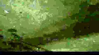 MMS scandal of hardcore sex in garage